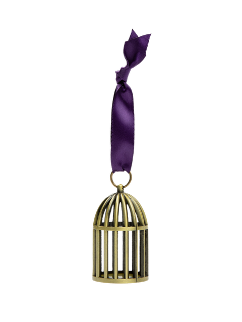 Taylor Swift Speak Now (Taylor's Version) Bird Cage Ornament